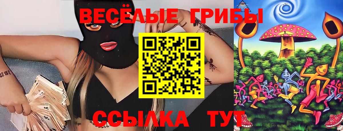 Псилоцибиновые грибы прущие грибы Стрежевой